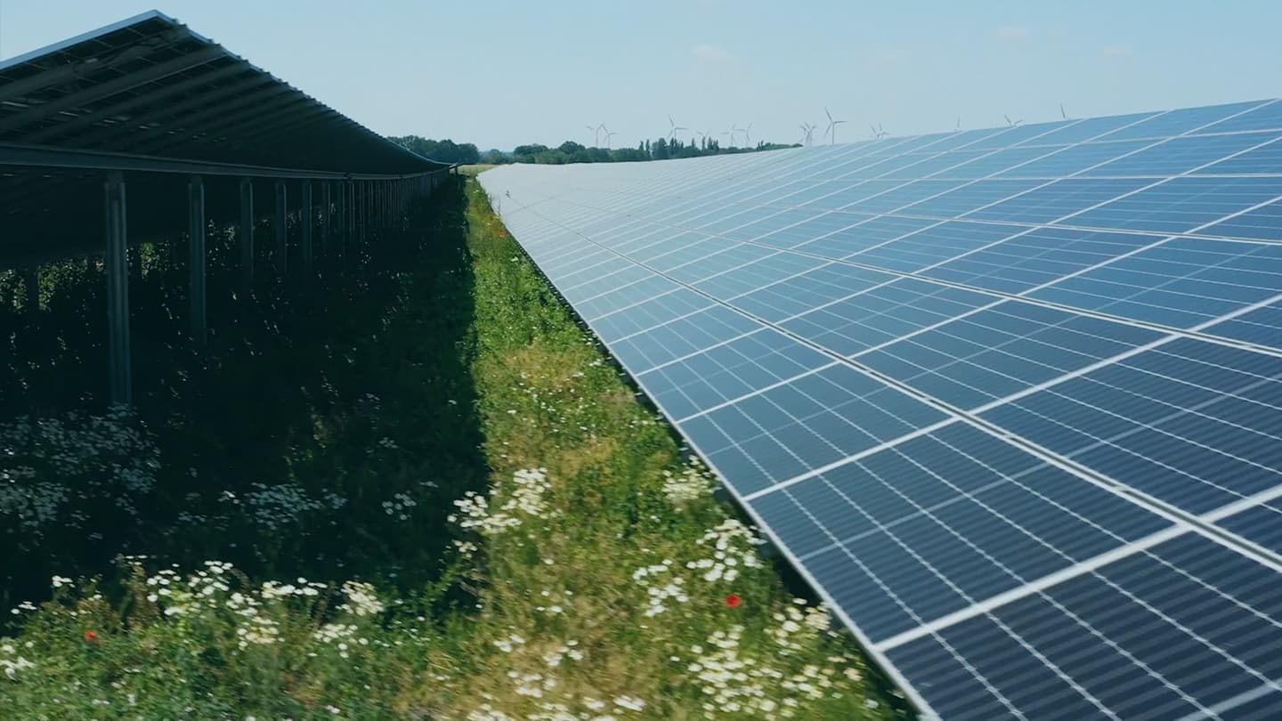 Rows of solar panels installed in a field with green grass and wildflowers, under a clear sky.